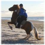 Glampi